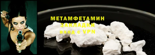 прущие грибы Красноперекопск