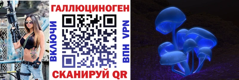 даркнет сайт Невельск Псилоцибиновые грибы MAGIC MUSHROOMS